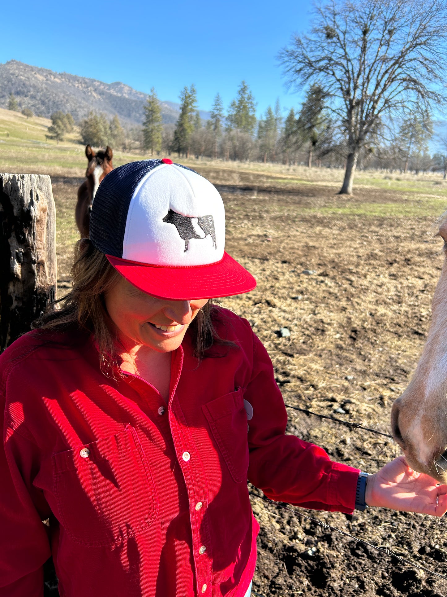 Crown H Cattle Company Hats