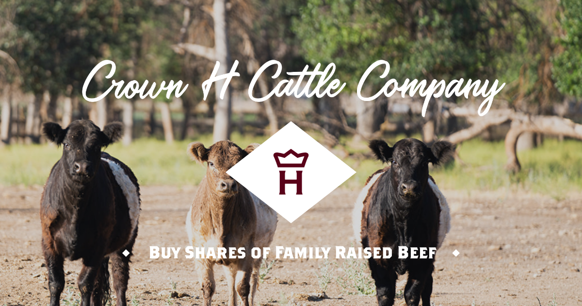 Shop Belted Galloway Beef - Crown H Cattle Company - Scott Valley, CA