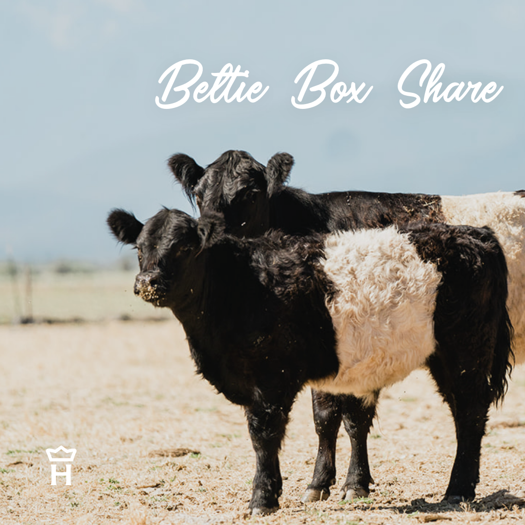 Beltie Box, 4 month/$145 each month SUBSCRIPTION for 1/8 Share, Free Shipping