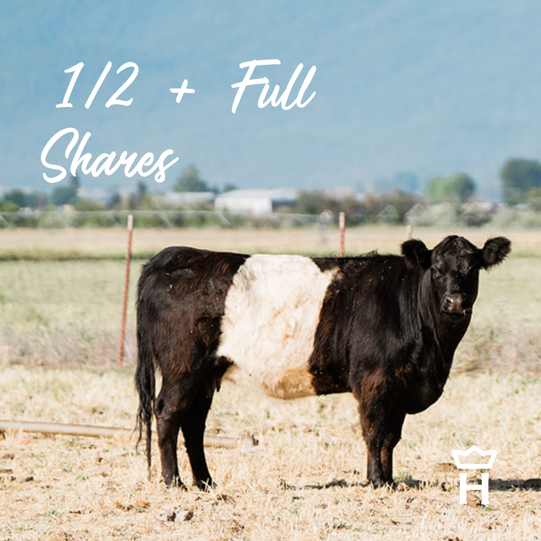 Beltie Beef, 6 month/$175 each month SUBSCRIPTION for 1/2 share, Free Shipping