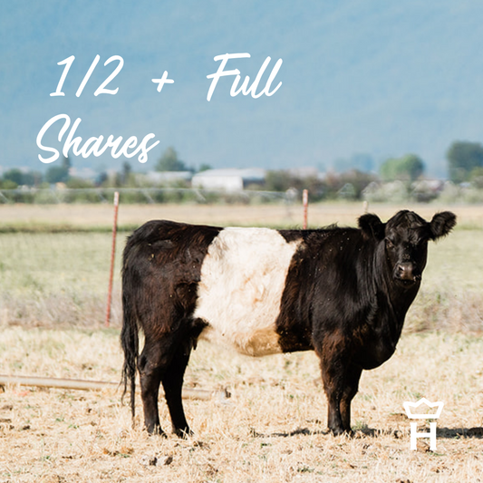 Beltie Beef 1 Share - whole beef