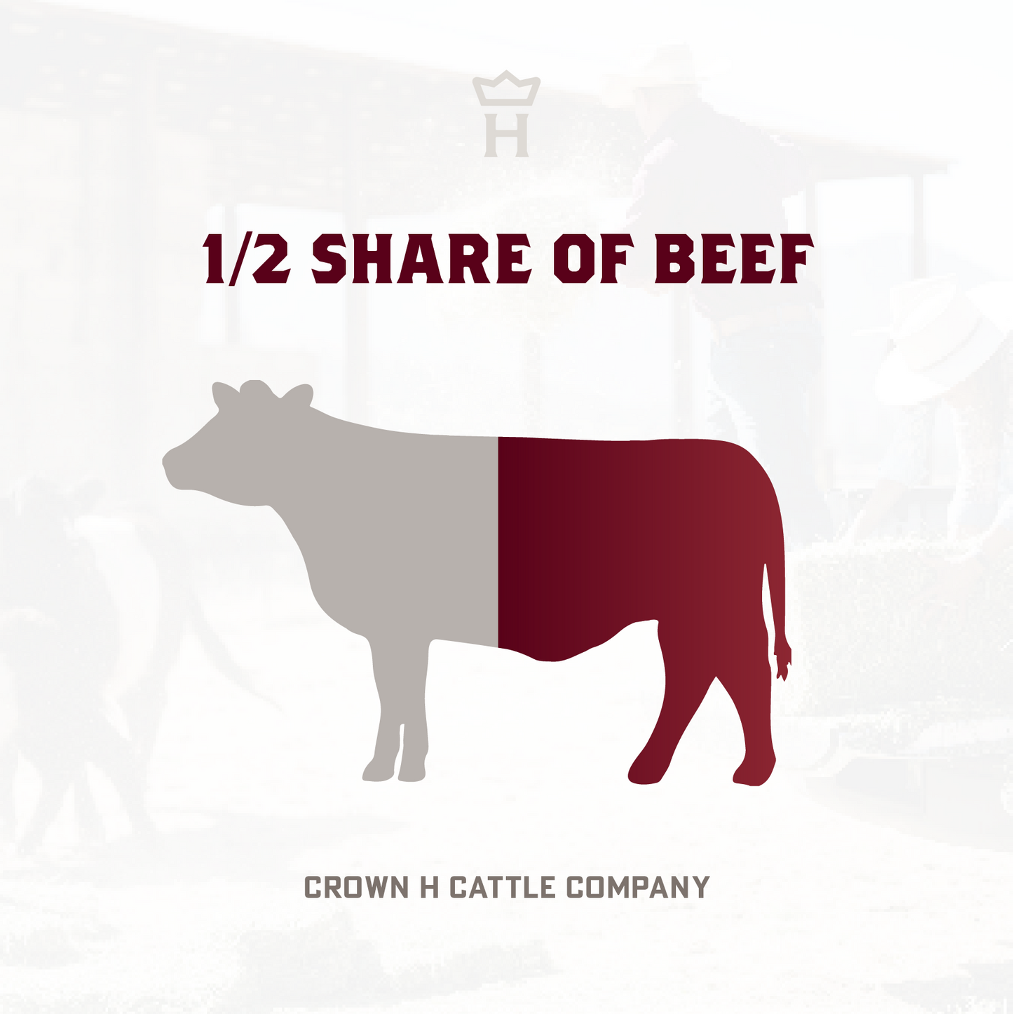 Beltie Beef, 1/2 ($250 deposit) & Full ($500 deposit share) Shares
